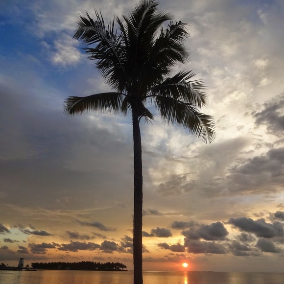 Meet your Posher, Addy - Picture 1 of 1